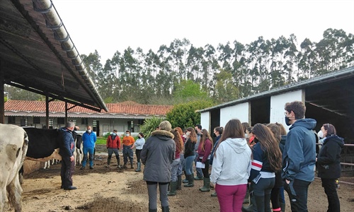 Sesin de formacin de morfologa de la raza frisona a los alumnos del...