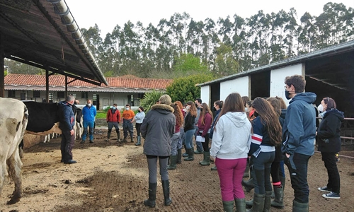 Sesin de formacin de morfologa de la raza frisona a los alumnos del...