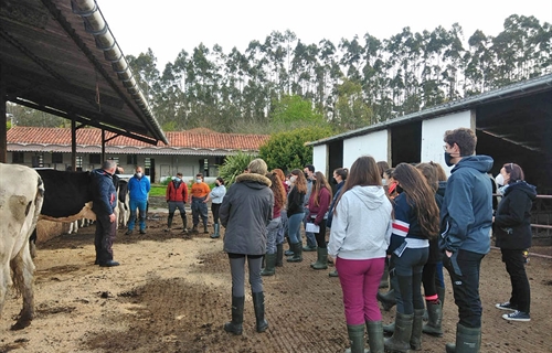 Sesin de formacin de morfologa de la raza frisona a los alumnos del...