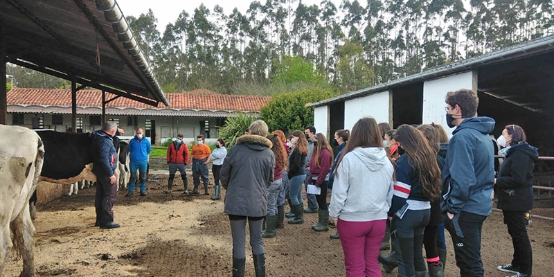 Sesin de formacin de morfologa de la raza frisona a los alumnos del Instituto de Luces