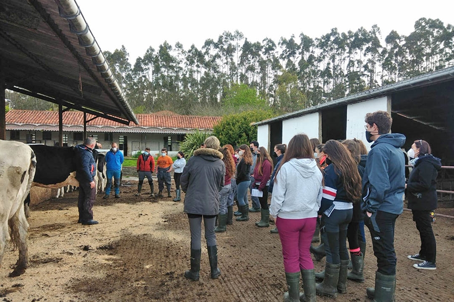 Sesin de formacin de morfologa de la raza frisona a los alumnos del...