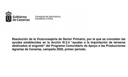 Canarias ayuda con 400.000 euros a la importación de terneros para engorde