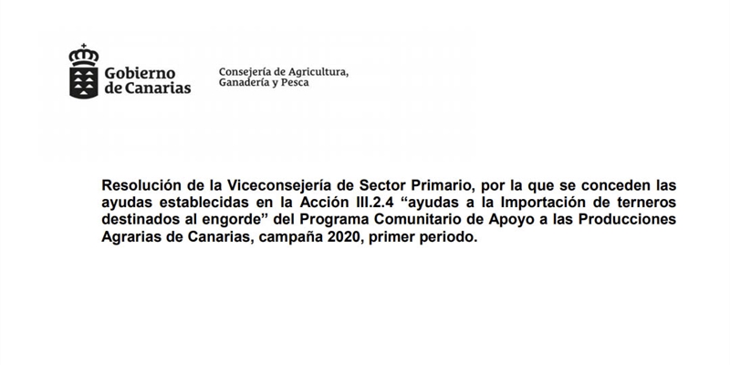 Canarias ayuda con 400.000 euros a la importación de terneros para engorde