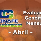 Nuevos toros genmicos con Prueba Oficial: Evaluacin genmica de abril 2021