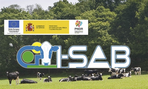 Proyecto de innovacin GO_I-SAB