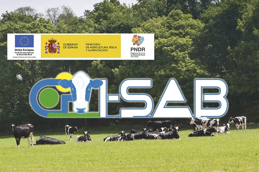 Proyecto de innovacin GO_I-SAB