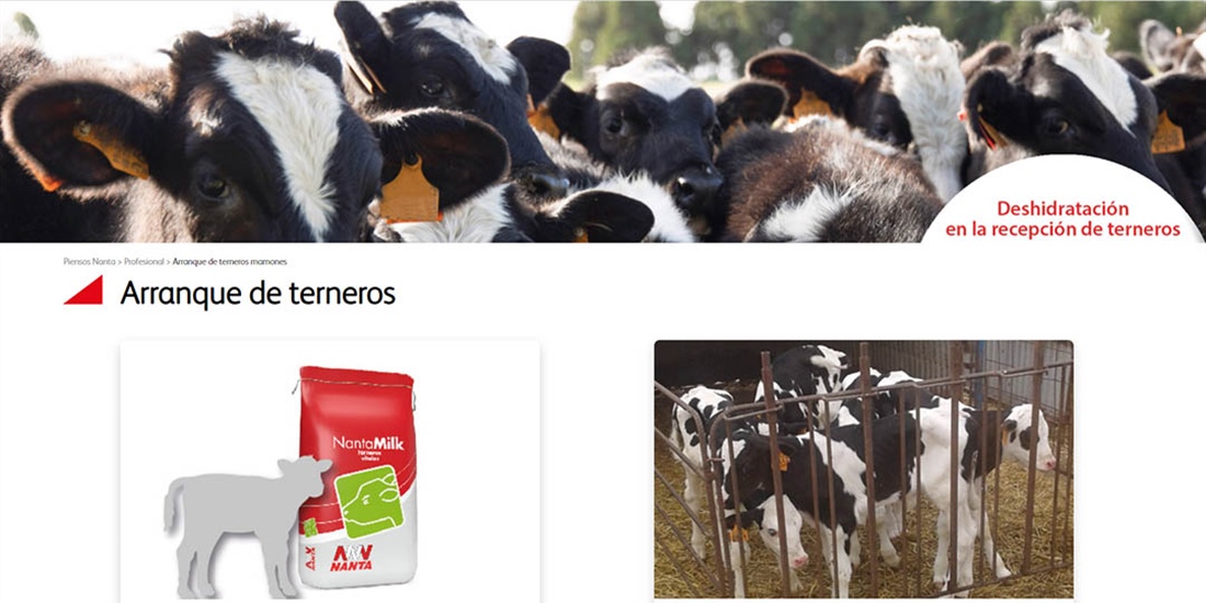Nuevos piensos de arranque y servicios de Nanta para la recepcin de...