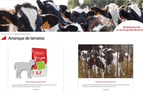 Nuevos piensos de arranque y servicios de Nanta para la recepcin de...