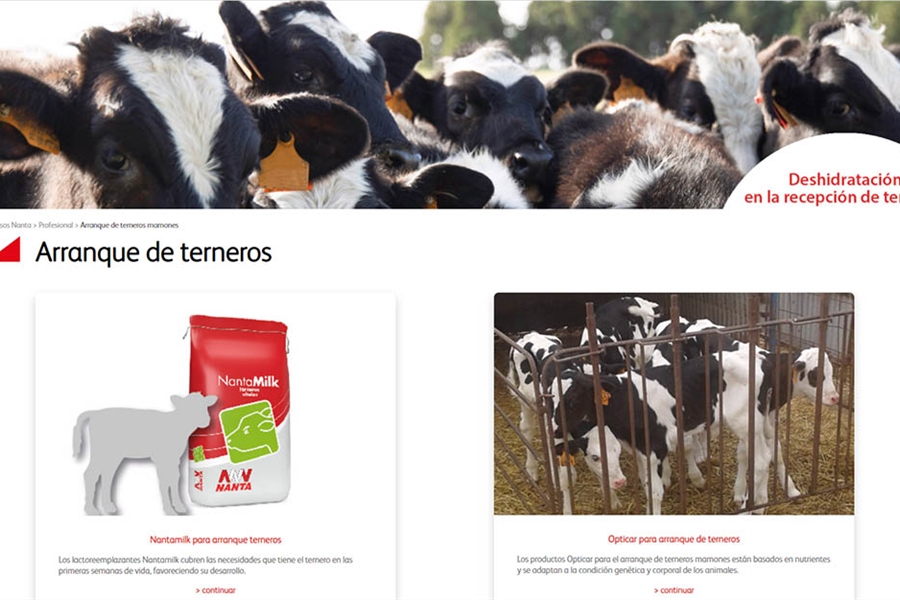 Nuevos piensos de arranque y servicios de Nanta para la recepcin de...
