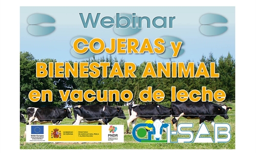 Webinar: Cojeras y Bienestar Animal en vacuno de leche