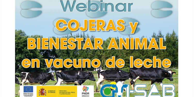 Webinar: Cojeras y Bienestar Animal en vacuno de leche