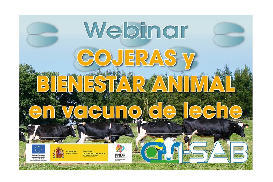 Webinar: Cojeras y Bienestar Animal en vacuno de leche