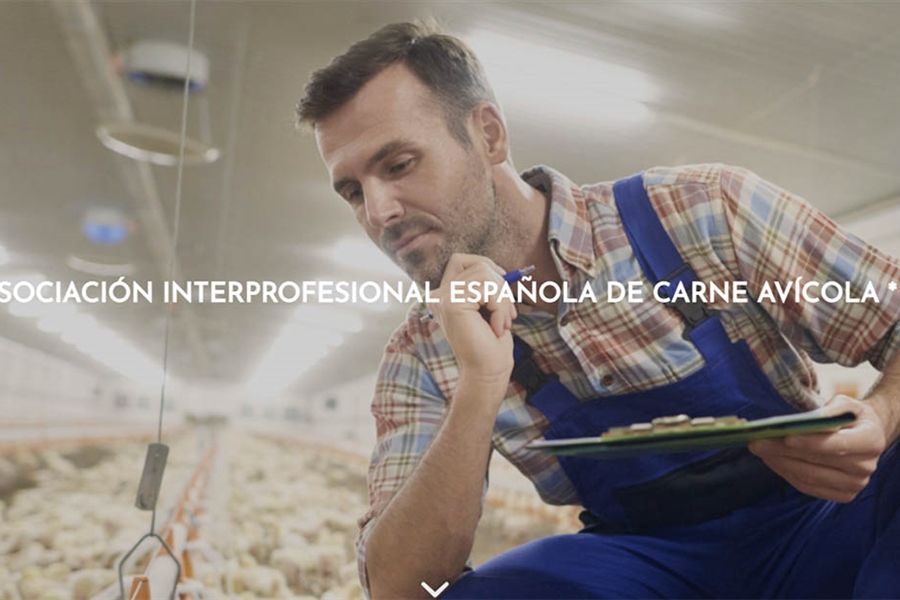 #RealidadGanadera AVIANZA: Somos potencia crnica gracias a un sector...