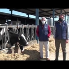 Vídeo: Visitamos la ganadería Las Tres Chimeneas (Talavera La Nueva, Toledo)