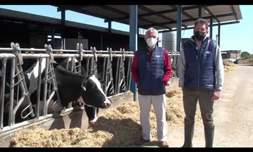 Vídeo: Visitamos la ganadería Las Tres Chimeneas (Talavera La Nueva,...
