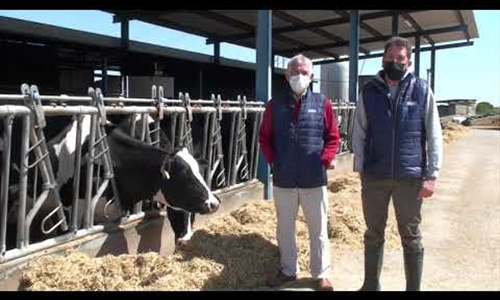 Vdeo: Visitamos la ganadera Las Tres Chimeneas (Talavera La Nueva,...