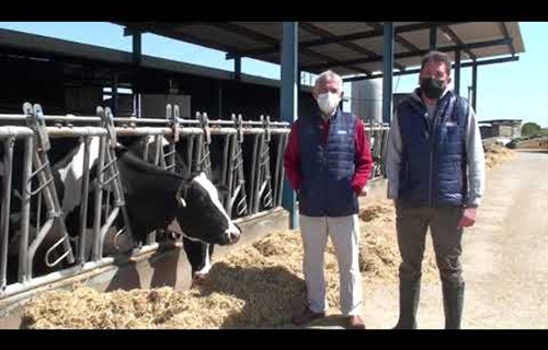 Vdeo: Visitamos la ganadera Las Tres Chimeneas (Talavera La Nueva,...