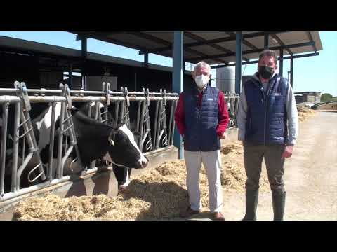 Vdeo: Visitamos la ganadera Las Tres Chimeneas (Talavera La Nueva,...