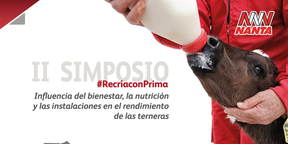 Nanta rene a 400 profesionales del sector en su II Simposio online...