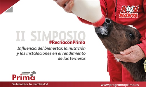 Nanta rene a 400 profesionales del sector en su II Simposio online...