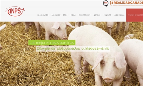 #RealidadGanadera ANPS: Qu es la seleccin gentica de los animales y...