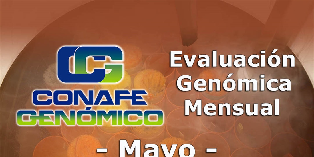 Nuevos toros gen�micos con Prueba Oficial: Evaluaci�n gen�mica de mayo 2021