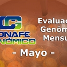 Nuevos toros genómicos con Prueba Oficial: Evaluación genómica de mayo 2021