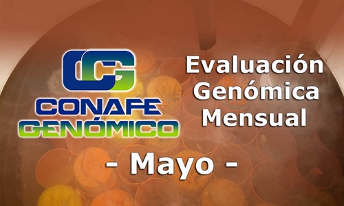 Nuevos toros genmicos con Prueba Oficial: Evaluacin genmica de mayo 2021