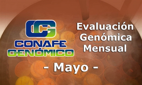 Nuevos toros genmicos con Prueba Oficial: Evaluacin genmica de mayo 2021