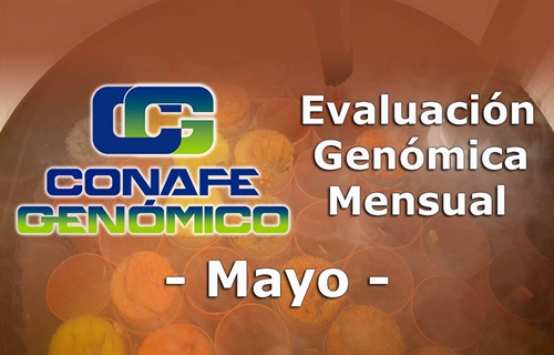 Nuevos toros genmicos con Prueba Oficial: Evaluacin genmica de mayo 2021