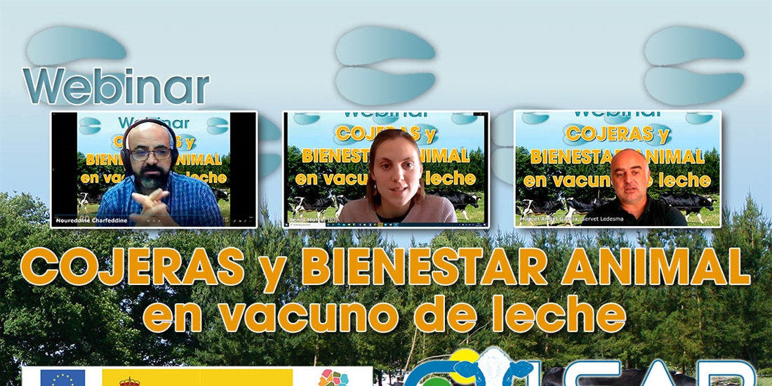 Celebrado el webinar sobre cojeras y bienestar animal en vacuno de leche