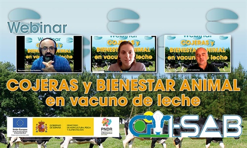 Celebrado el webinar sobre cojeras y bienestar animal en vacuno de leche