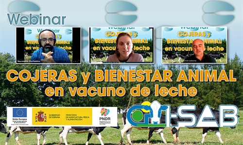 Celebrado el webinar sobre cojeras y bienestar animal en vacuno de leche