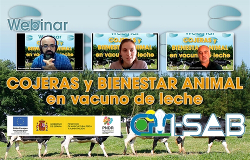 Celebrado el webinar sobre cojeras y bienestar animal en vacuno de leche