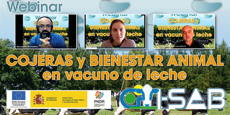 Celebrado el webinar sobre cojeras y bienestar animal en vacuno de leche