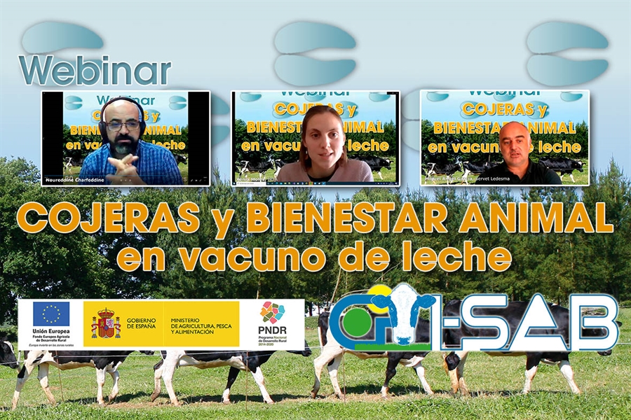 Celebrado el webinar sobre cojeras y bienestar animal en vacuno de leche