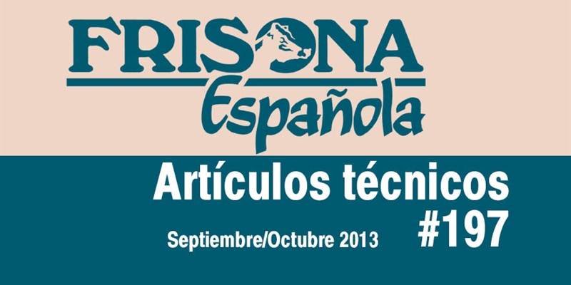 Soluciones para los problemas de hiperqueratosis (II)