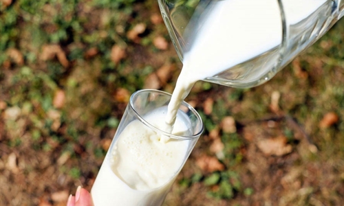 Estudian la obtencin de leche bovina inmune frente al covid-19 para...