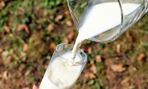 Estudian la obtencin de leche bovina inmune frente al covid-19 para...