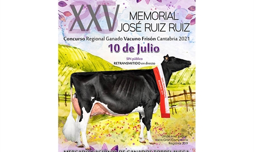 XXV Concurso Regional de Raza Frisona de Cantabria