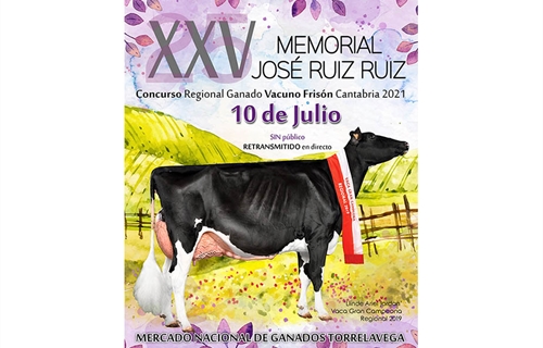 XXV Concurso Regional de Raza Frisona de Cantabria