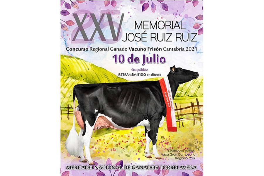 XXV Concurso Regional de Raza Frisona de Cantabria