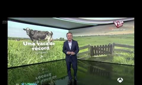 Karen Somalera, una vaca de rcord en Antena 3 TV
