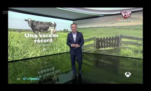 Karen Somalera, una vaca de rcord en Antena 3 TV