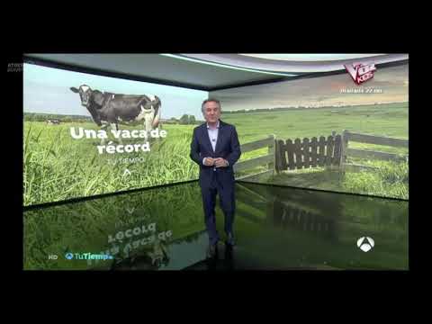 Karen Somalera, una vaca de récord en Antena 3 TV