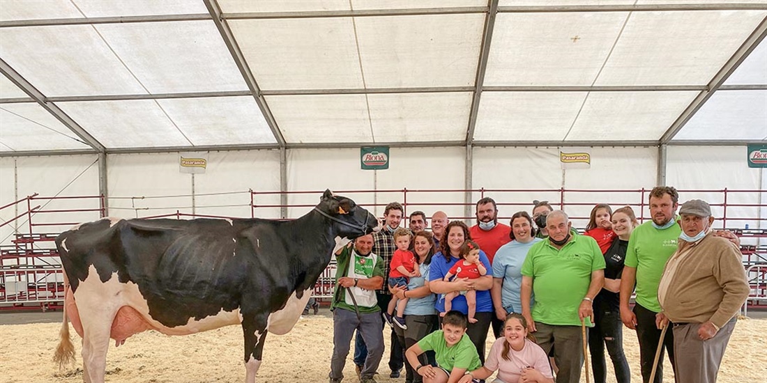 Canton Ami Doorsopen, Vaca Gran Campeona del Concurso Frisn de San...