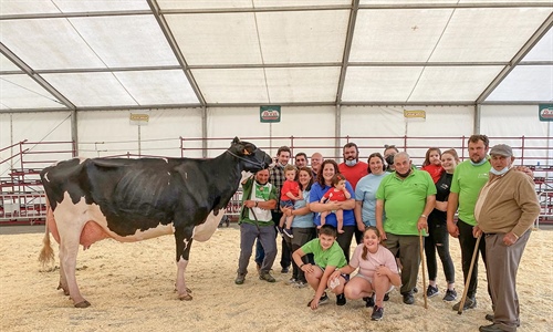 Canton Ami Doorsopen, Vaca Gran Campeona del Concurso Frisn de San...