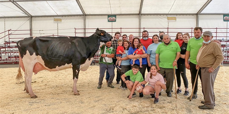 Canton Ami Doorsopen, Vaca Gran Campeona del Concurso Frisón de San Bernabé 2021 en Treceño