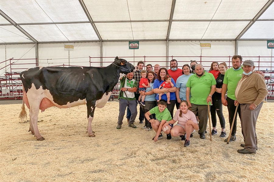 Canton Ami Doorsopen, Vaca Gran Campeona del Concurso Frisn de San...