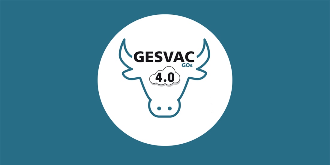 El GO GESVAC4.0 celebra su primera reunin para desarrollar un sistema...